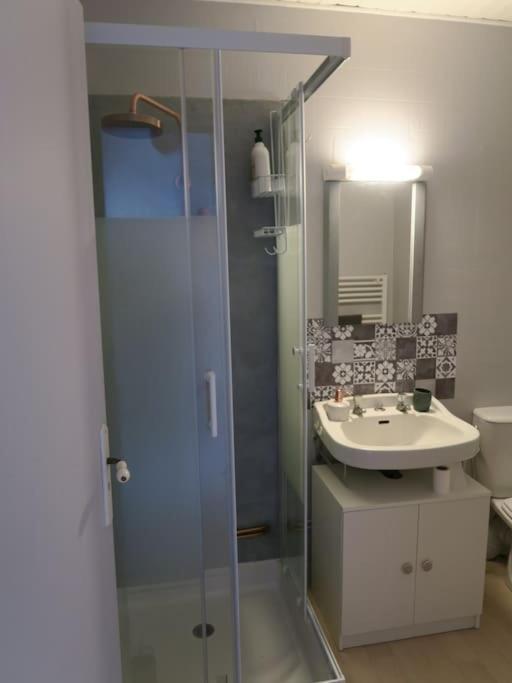 Appartement Des Hirondelles , Au Pied Du Chateau Chinon Exteriér fotografie